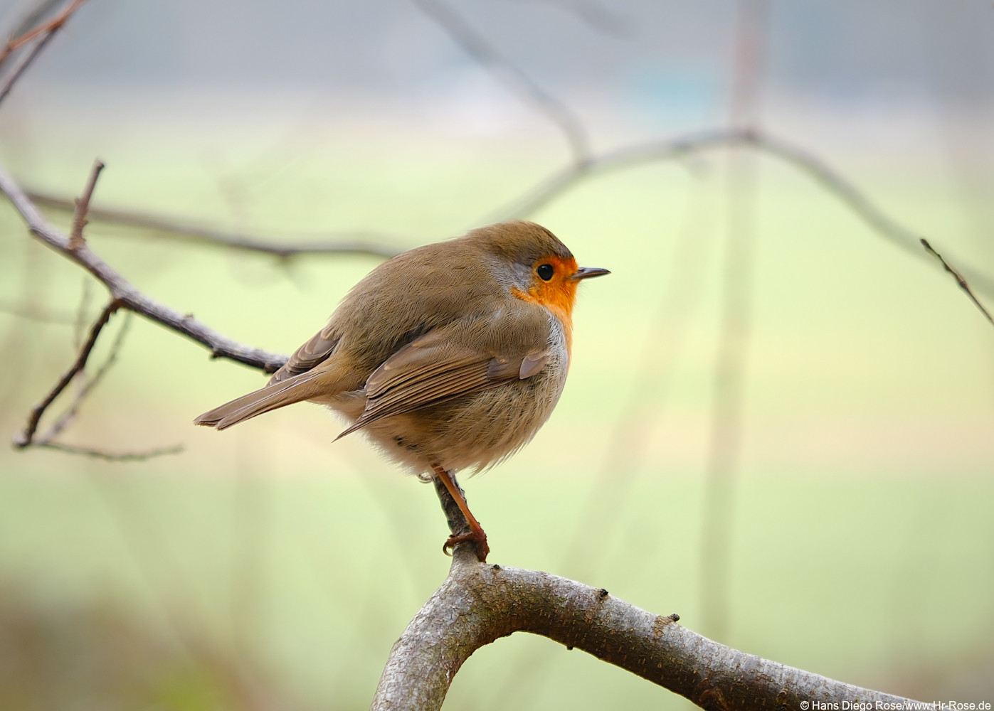 Einzelcoaching Fotografie im Schwarzwald Einzelcoaching Fotografie im Schwarzwald