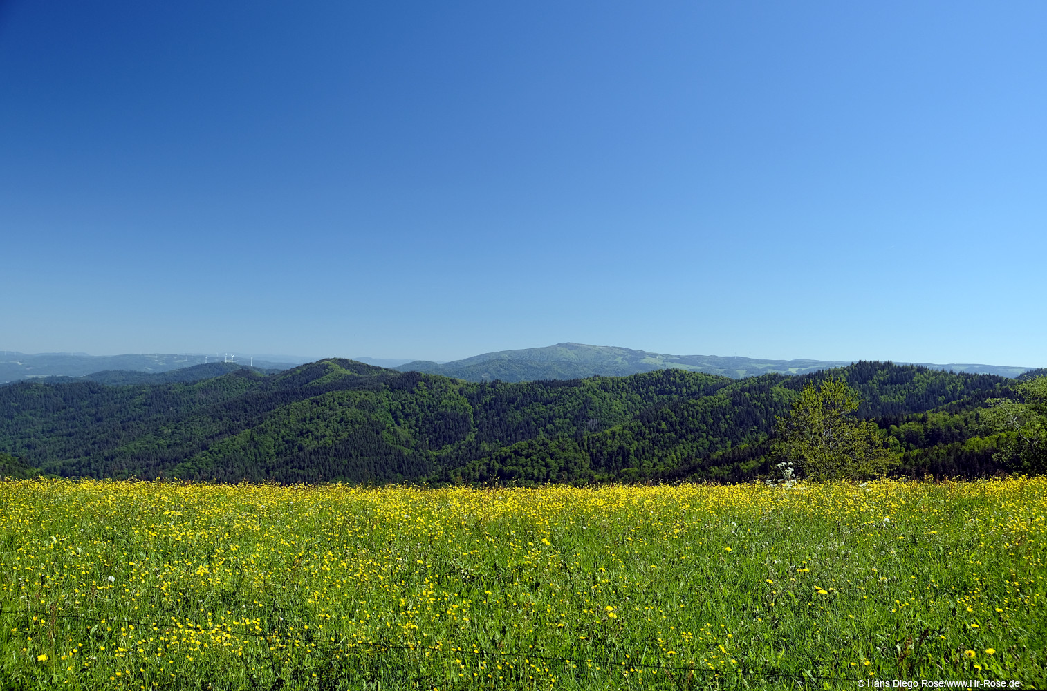 Einzelcoaching Fotografie im Schwarzwald Einzelcoaching Fotografie im Schwarzwald