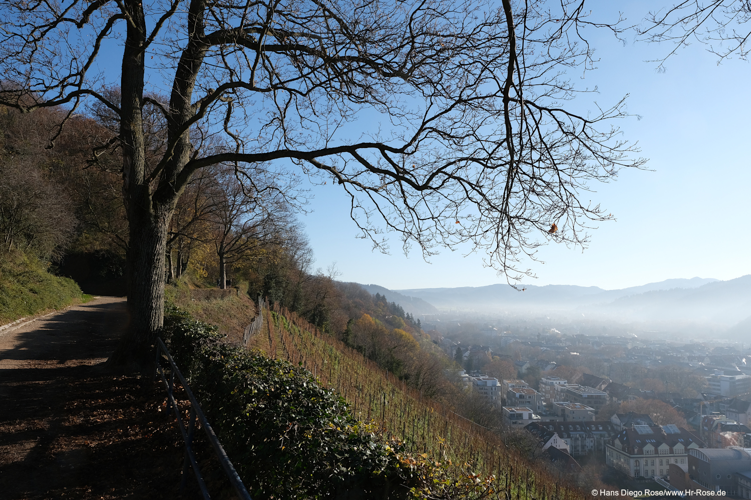 Einzelcoaching Fotografie im Schwarzwald Einzelcoaching Fotografie im Schwarzwald