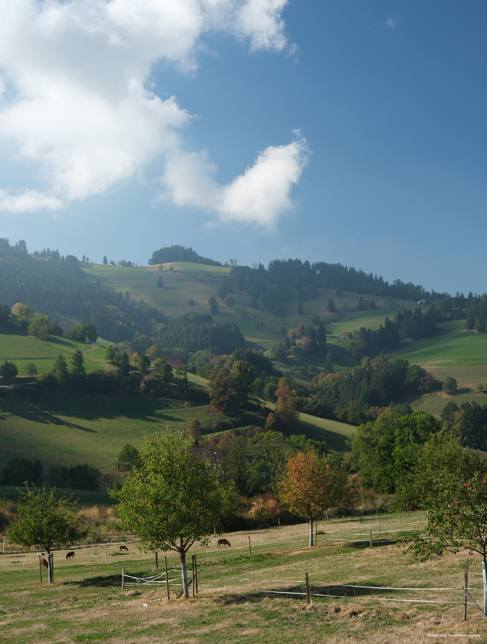 Herbstfarben im Schwarzwald Herbstfarben im Schwarzwald